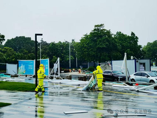 澳门正规的电子游戏网址